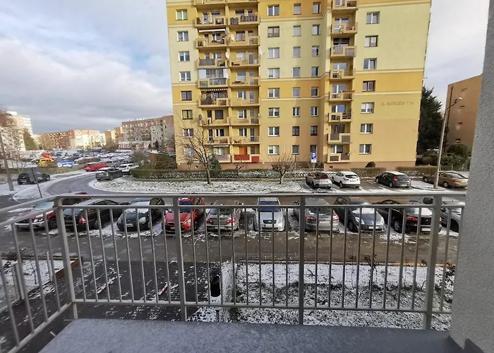 Adler - Family שצ'צ'ין