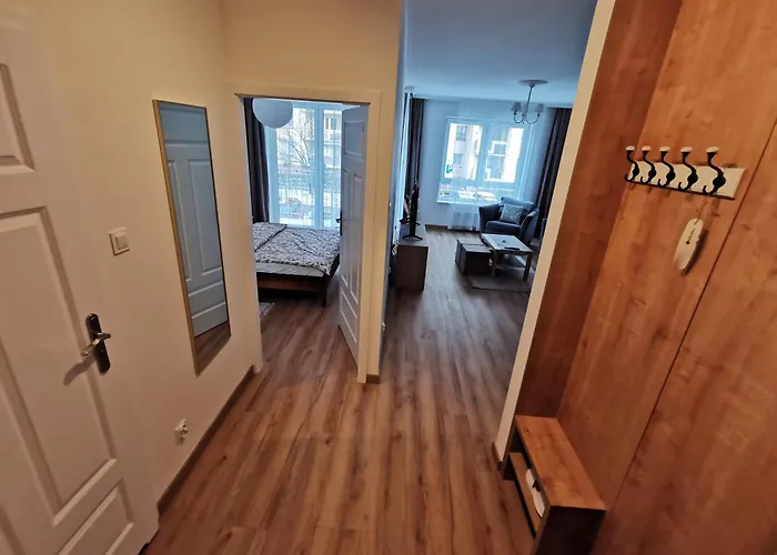 Adler - Family שצ'צ'ין